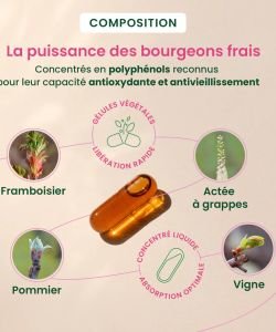 Gemmocaps Périménopause - 30 capsules BIO, 30 capsules
